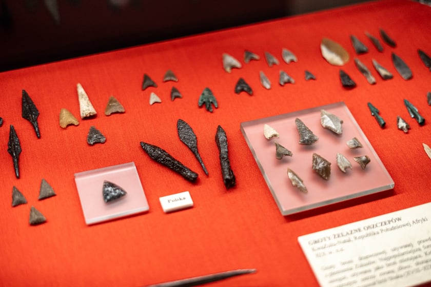 Wystawa Artificalia, naturalia, exotica w Muzeum Archeologicznym we Wrocławiu